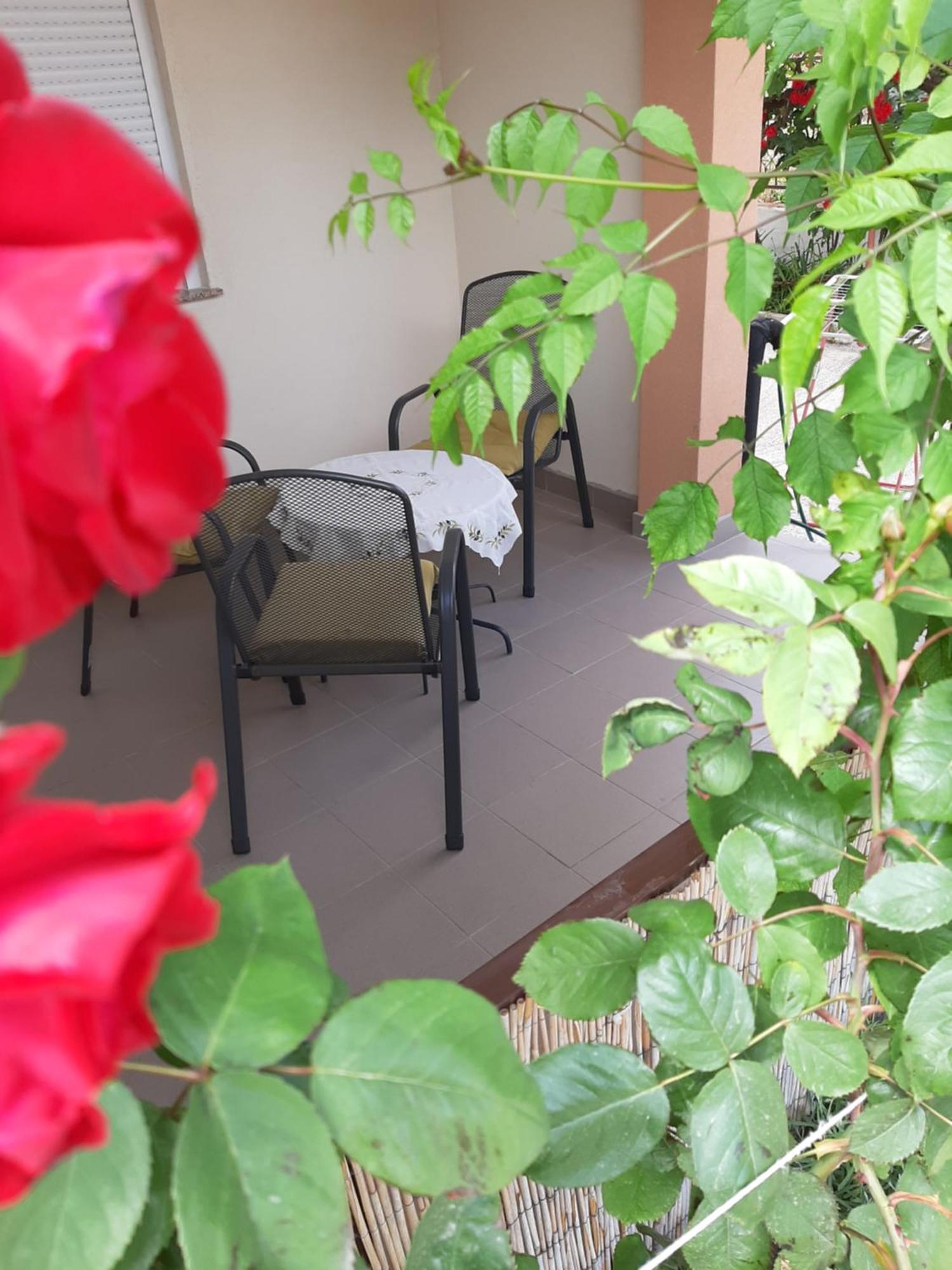 Luna Maris Apartments Задар Экстерьер фото