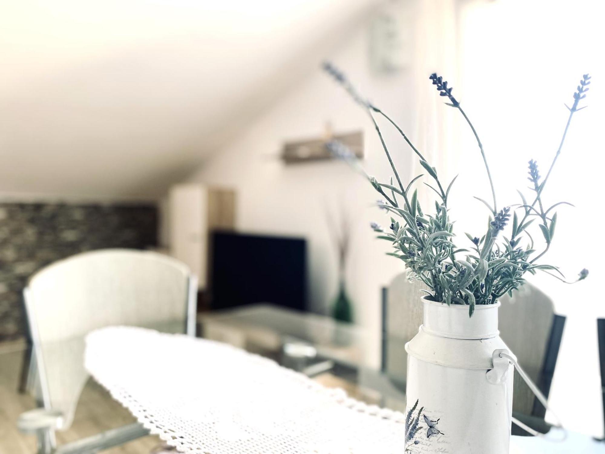 Luna Maris Apartments Задар Экстерьер фото